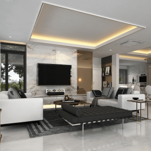 Design Living Room